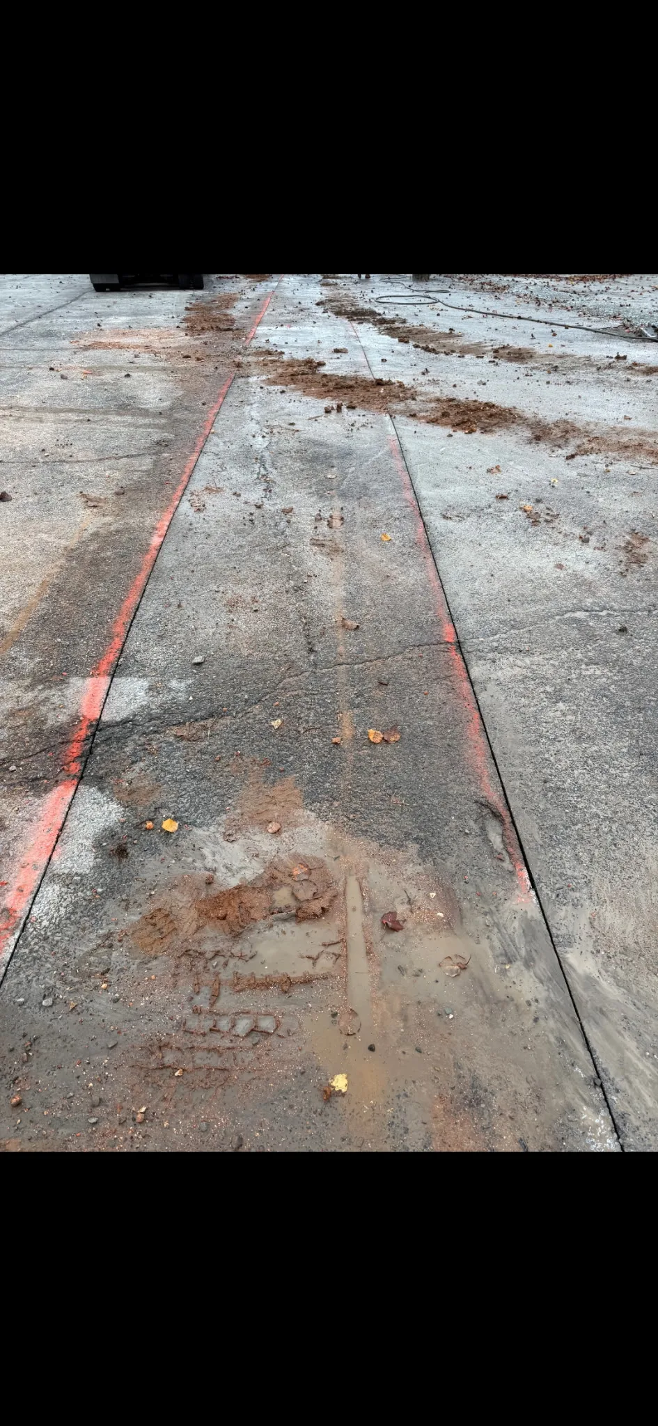 Restored utility cut in pavement with red survey markings